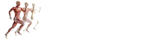 Sue Theodore - Myotherapy, Massage Therapist